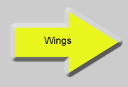 Our wings are constructed of carbon fiber for strength, yet they are surprisingly light weight